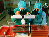Technicians examine pharmaceutical preparations