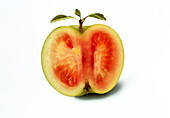 Genetically engineered fruit