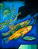 Abstract artwork of genetically-engineered fish