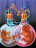 Artwork representing cloned or test tube babies