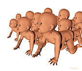 Art of cloned human babies