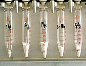 Glass tubes containing powdered amino acids