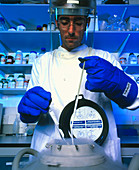 Technician freezing brain cells in liquid nitrogen