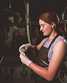Researcher collecting milk sample