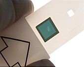 Biosensor chip
