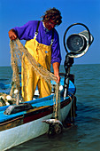 Biologist holding common Atlantic sturgeon in net