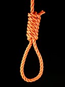 Knots: a hangman's noose