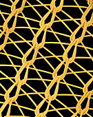Nylon netting