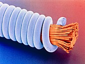 Coloured SEM of 'superwound' guitar string