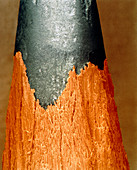Coloured SEM of a sharpened pencil