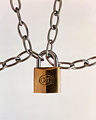 Locked padlock and chains