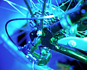 Gear mechanism on the rear wheel of a bicycle