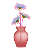 Vase & flowers X-ray