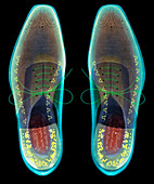 Man's shoes X-ray