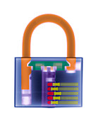 Combination padlock,coloured X-ray