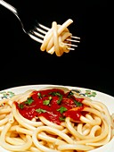 Plate of pasta with a tomato sauce