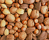 Nuts: almonds,brazils,hazelnuts & walnuts