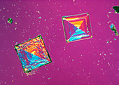 Polarised light micrograph of salt crystals