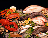 Assortment of edible fresh fish and shellfish