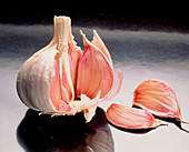 Opened bulb of garlic,Allium sativum