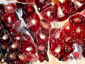 Close-up of a pomegranate fruit,Punica granatum