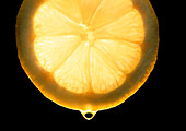 Slice of lemon