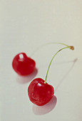 View of two ripe cherries (Prunus sp.)