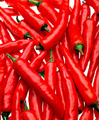 Chilli peppers,Capsicum sp