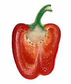 Red pepper half