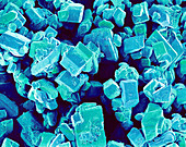 Sugar crystals,SEM