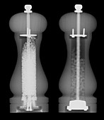 Salt and pepper mills,X-ray