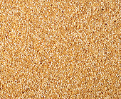 Quinoa grains