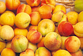 Organic apricots