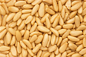 Pine nut kernels