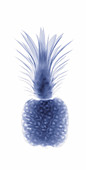 Pineapple,X-ray
