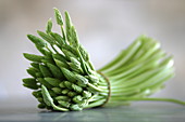 Asparagus