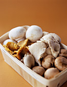 Mixed mushrooms