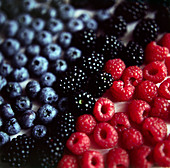 Mixed berries