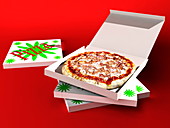 Pizza in box,computer artwork