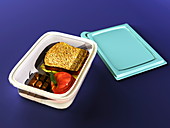 Lunchbox,computer artwork