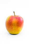 Braeburn apple