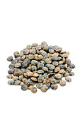 Puy lentils