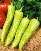 Marmara peppers