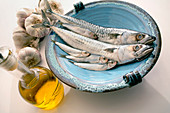 Plate of mackerel