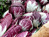 Radicchio lettuces