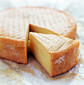 Camembert cheese