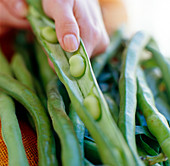 Broad beans