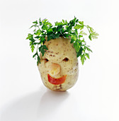 Potato head