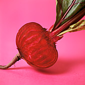 Beetroot