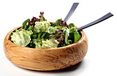 Green leaf salad